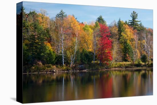 Reflection of trees on water, Adirondack Mountains State Park, New York State, USA-null-Premier Image Canvas