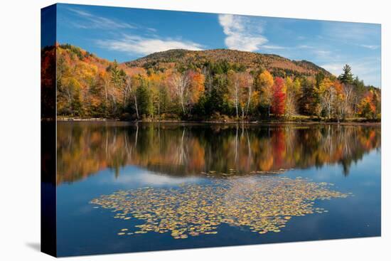Reflection of trees on water, Adirondack Mountains State Park, New York State, USA-null-Premier Image Canvas