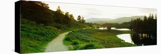 Reflection of trees on water, Tarn Hows, Lake District, Lake District National Park, Cumbria, En...-null-Stretched Canvas