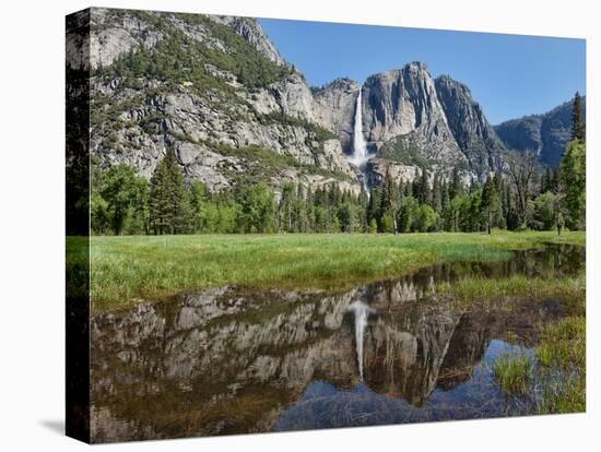 Reflection of Yosemite Falls in Merced River, Yosemite National Park, California, USA-null-Premier Image Canvas