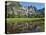 Reflection of Yosemite Falls in Merced River, Yosemite National Park, California, USA-null-Premier Image Canvas