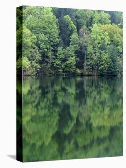 Reflections in Charlottesville Lake, Blue Ridge Mountains, Virginia, USA-Charles Gurche-Premier Image Canvas