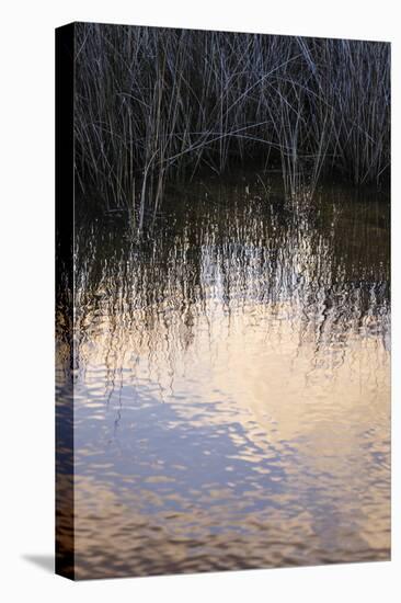 Reflections, Merritt Island National Wildlife Refuge, Titusville, Florida, USA-Maresa Pryor-Premier Image Canvas