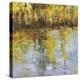 Reflections of a Changing Season-Tim Howe-Premier Image Canvas