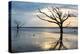 Reflections of Boneyard Beach-Danny Head-Stretched Canvas