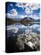 Reflections of Mt. Tuni Condoriri in the Cordillera Real, Bolivi-Sergio Ballivian-Premier Image Canvas