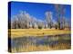 Reflections of Trees and Rushes in River, Bear River, Evanston, Wyoming, USA-Scott T^ Smith-Premier Image Canvas