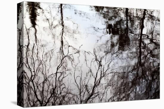 Reflections of Trees in Water-Mark Sunderland-Premier Image Canvas