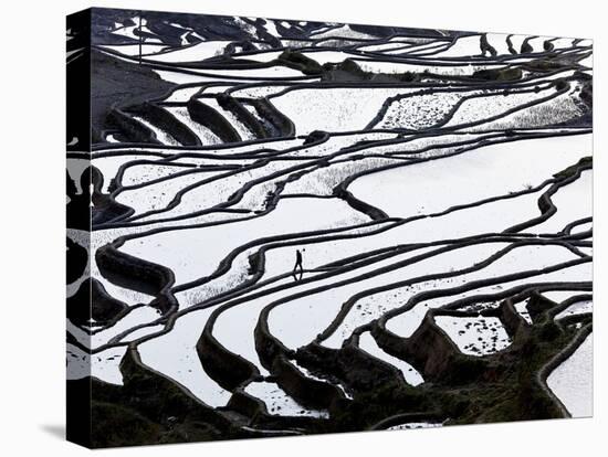 Reflections Off Water Filled Rice Terraces, Yuanyang County, Honghe, Yunnan Province, China-Peter Adams-Premier Image Canvas