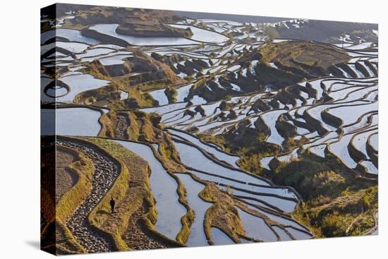 Reflections Off Water Filled Rice Terraces, Yuanyang, Honghe, China-Peter Adams-Premier Image Canvas