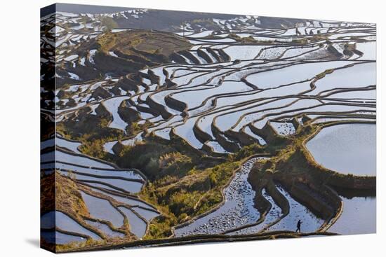 Reflections Off Water Filled Rice Terraces, Yuanyang, Honghe, China-Peter Adams-Premier Image Canvas