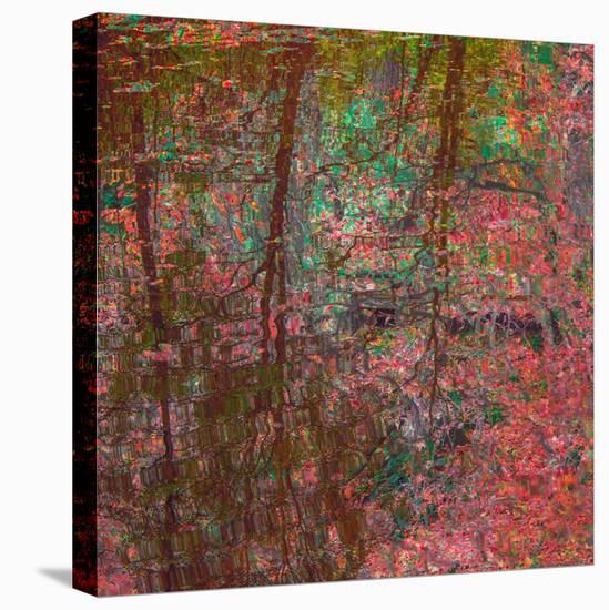 Reflections On A Japanese Garden-Doug Chinnery-Premier Image Canvas