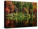 Reflections on Lake Conasauga-James Randklev-Premier Image Canvas