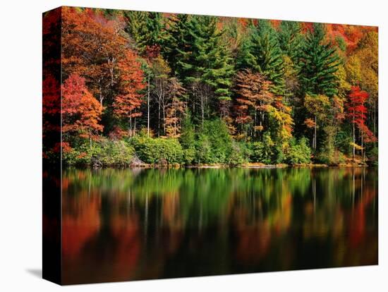 Reflections on Lake Conasauga-James Randklev-Premier Image Canvas