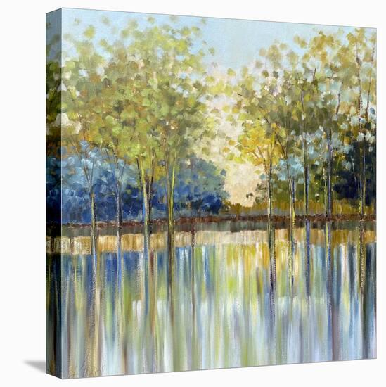 Reflections Revisited-Libby Smart-Stretched Canvas