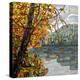 Reflections-Mandy Budan-Premier Image Canvas