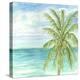 Refreshing Coastal Breeze II-Nicholas Biscardi-Stretched Canvas