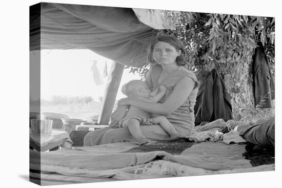 Refugees of the Drought of the Dust Bowl-Dorothea Lange-Stretched Canvas