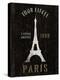 Refurbished Eiffel Tower-Wild Apple Portfolio-Stretched Canvas