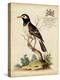 Regal Birds II-George Edwards-Stretched Canvas