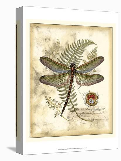 Regal Dragonfly I-Vision Studio-Stretched Canvas