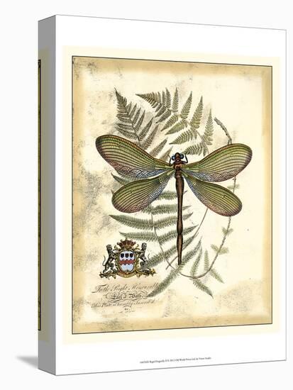 Regal Dragonfly II-Vision Studio-Stretched Canvas
