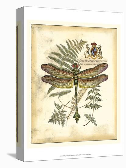 Regal Dragonfly III-Vision Studio-Stretched Canvas