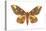 Regal Moth (Citheronia Regalis), Insects-Encyclopaedia Britannica-Stretched Canvas