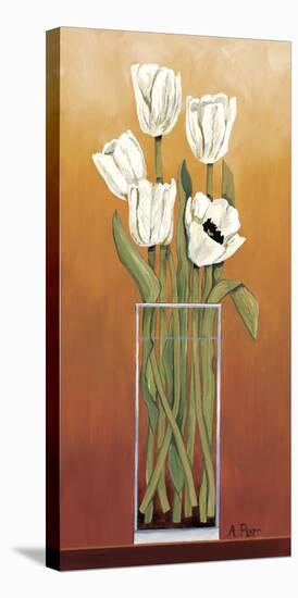 Regal Pearl-Ann Parr-Stretched Canvas