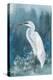 Regal White Egret II-Eli Jones-Stretched Canvas