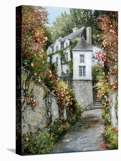 Regency House, Lucerne-Roger Duvall-Stretched Canvas