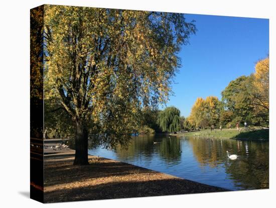 Regent's Park in the Autumn, London, England, United Kingdom, Europe-Ethel Davies-Premier Image Canvas