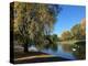 Regent's Park in the Autumn, London, England, United Kingdom, Europe-Ethel Davies-Premier Image Canvas