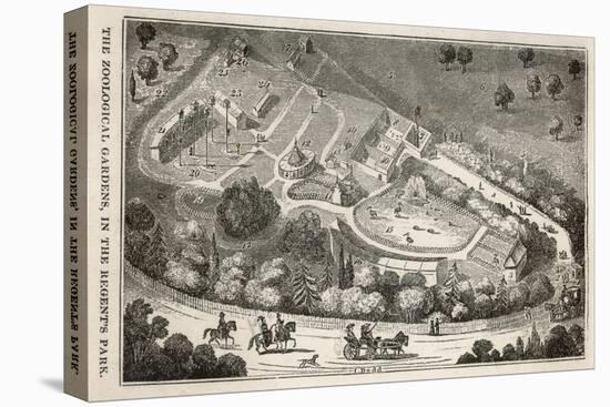 Regent's Park London: a Bird's Eye View of the Gardens of the Zoological Society-I. Dodd-Stretched Canvas