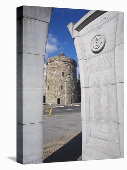 Reginald's Tower, Waterford City, County Waterford, Munster, Republic of Ireland, Europe-Richard Cummins-Premier Image Canvas