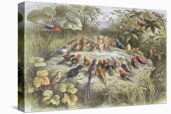 Rehearsal in Fairy Land, Illustration from "In Fairyland: a Series of Pictures from the Elf-World"-Richard Doyle-Premier Image Canvas