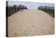 Rehobeth Beach, Delaware-Paul Souders-Premier Image Canvas