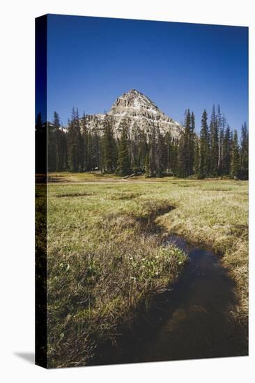 Reids Peak Rising Above Reids Meaadow, Lofty Lake Loop, Uinta Mountains, Utah-Louis Arevalo-Premier Image Canvas