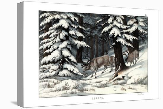 Reindeer, 1860-null-Premier Image Canvas
