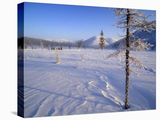 Reindeer and Herders Crossing Winter Tundra, Ayanka, Kamchatka, Russian Far East, Russia-Nick Laing-Premier Image Canvas