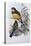Reinwardt's Trogon-John Gould-Premier Image Canvas