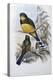 Reinwardt's Trogon-John Gould-Premier Image Canvas