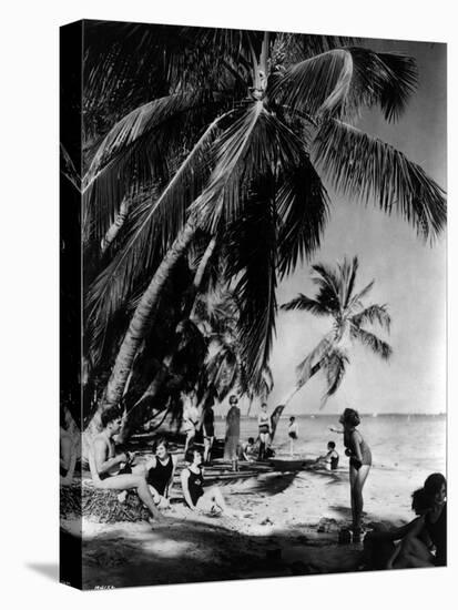 Relaxing under the Palms at Tahiti Beach, Coral Gables, Florida, March 23Rd, 1926-null-Premier Image Canvas