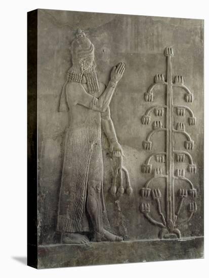 Relief du palais de Sargon II : génie portant un fleur de pavot-null-Premier Image Canvas