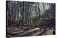 Remains of a bunker at a mountain in a wood in winter in Alsace with sun and shade-Axel Killian-Premier Image Canvas