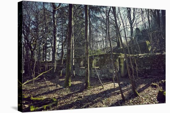Remains of a bunker at a mountain in a wood in winter in Alsace with sun and shade-Axel Killian-Stretched Canvas