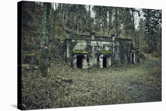 Remains of a bunker at a mountain in a wood in winter in Alsace-Axel Killian-Stretched Canvas