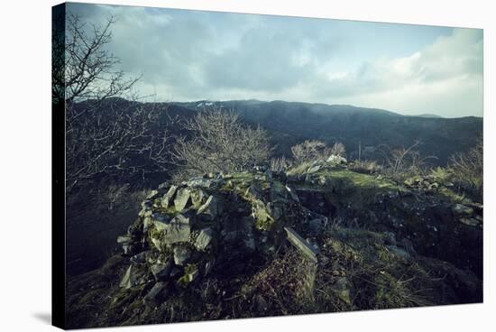 Remains of a bunker at a mountaintop in a wood in winter in Alsace-Axel Killian-Stretched Canvas