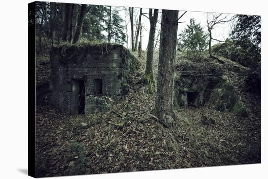 Remains of a bunker in a wood in winter in Alsace-Axel Killian-Stretched Canvas