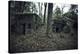 Remains of a bunker in a wood in winter in Alsace-Axel Killian-Premier Image Canvas